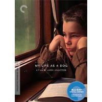 My life as a dog Blu-ray
