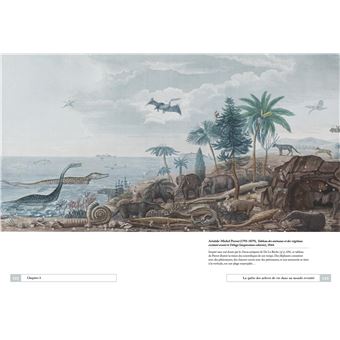 La classification animale