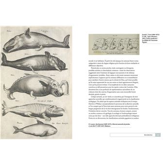 La classification animale