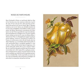 Le petit livre des roses