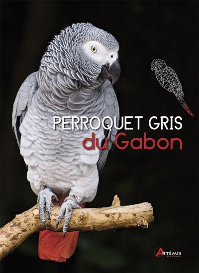 perroquet gris du gabon broche greg glendell achat livre fnac