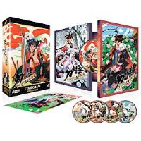 Coffret intégral 5 DVD
