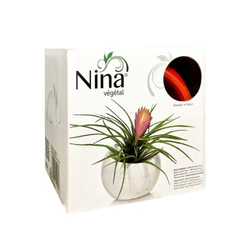 Sphère à faire soi-même Nina Végétal Jardin vertical urbain Rouge carmin