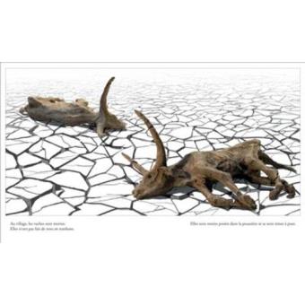 De la terre à la pluie