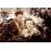 California terre promise Blu-ray_4