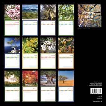 Calendrier mural arbres et forêts 2024 - broché - Collectif - Achat Livre