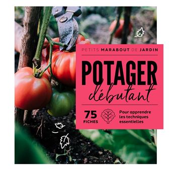Potager débutant