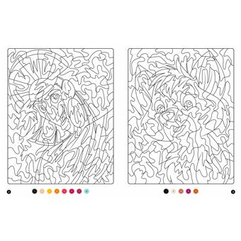 DISNEY - Coloriages Magiques Mystères - Les Grands classiques