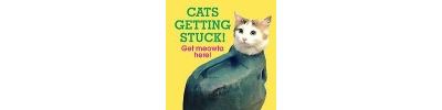 CATS GETTING STUCK!
