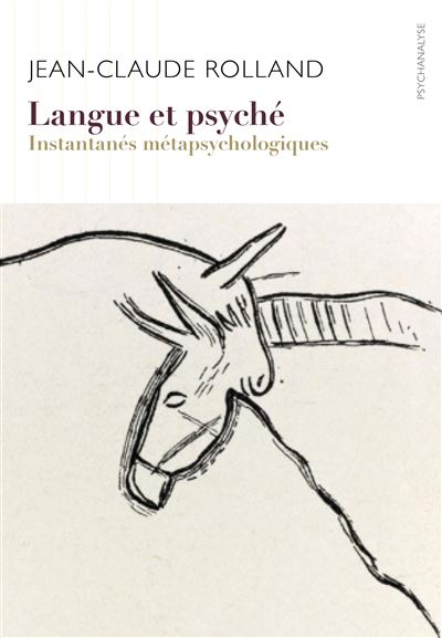 Langue et psyche instantanes metapsychologiques