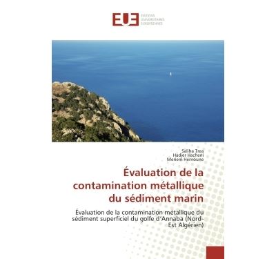 Gabarit Métallique S Legend Seafloor Control - 460 Grammes - Coloris GDRD - Pêche