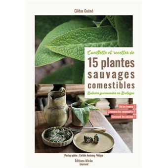 Cueillette et recettes de 15 plantes sauvages comestibles