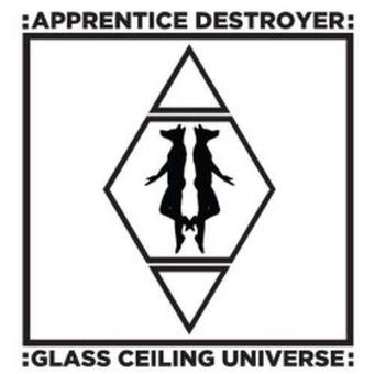 Glass Ceiling Universe - 1