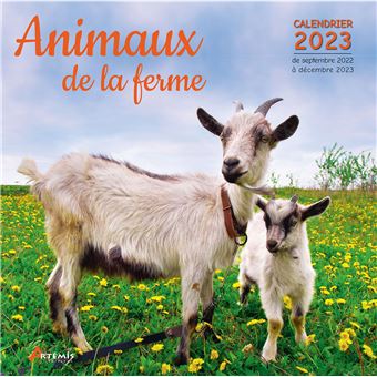 Calendrier Animaux 2023 Calendrier Animaux De La Ferme 2023 - Dernier Livre De Collectif -  Précommande & Date De Sortie | Fnac