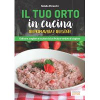 Il tuo orto in cucina in primavera e in estate
