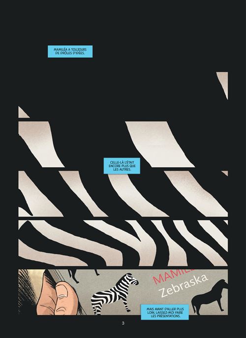 Zebraska - Zebraska - Tome 1 - Un garçon pas comme les autres T1/2 - 2