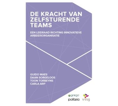De kracht van zelfsturende teams een leidraad richting innovatieve ...