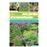 Créer son jardin d'aromatiques bio_0