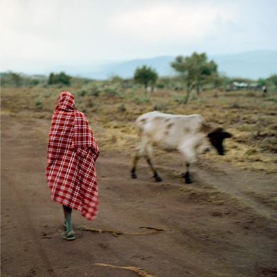 Stalawa In East Africa