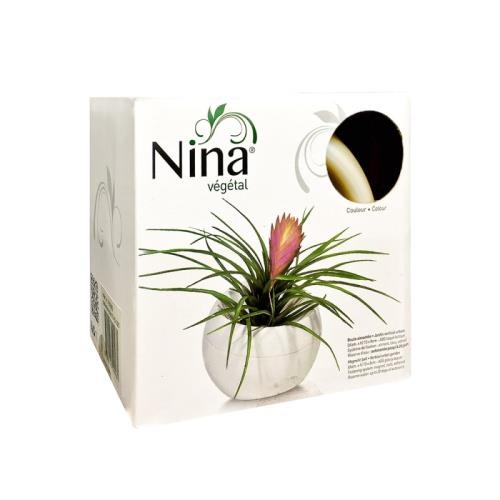 Sphère à faire soi-même Nina Végétal Jardin vertical urbain Blanc nacré
