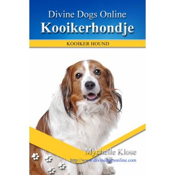Kooikerhondje - 1