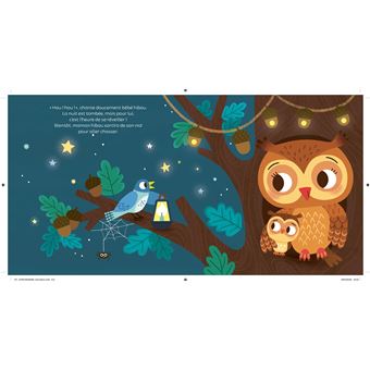 Mon livre son et lumière, Bonne nuit !