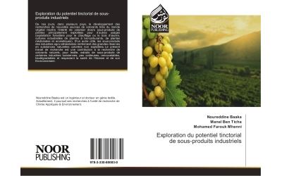 Exploration du potentiel tinctorial de sous-produits industr