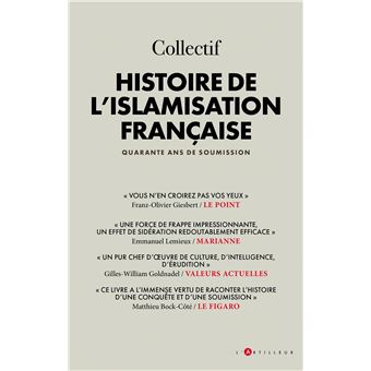 Histoire de l'islamisation française