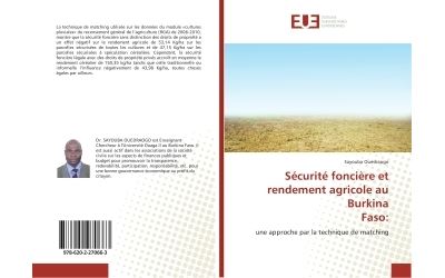 Securite fonciere et rendement agricole au burkina faso: