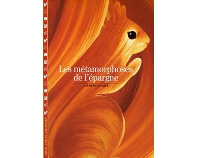 Les Métamorphoses de l'épargne - Laure de Llamby - broché