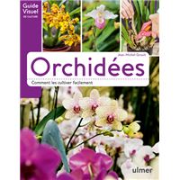 Petit ABC Rustica des orchidées de Rosenn Le Page - Grand Format - Livre -  Decitre