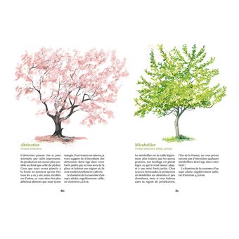 Créer une mini foret-jardin