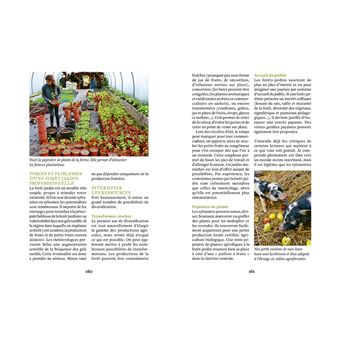 Créer une mini foret-jardin