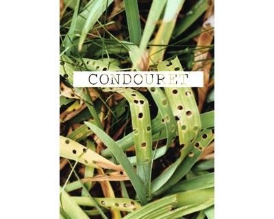 Patrick Condouret