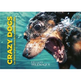 Crazy dogs