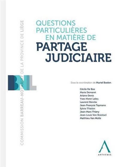 Questions particulières en matière de partage judiciaire