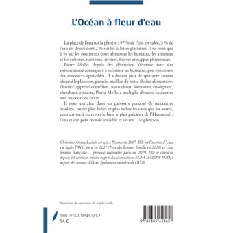 L'Océan à fleur d'eau