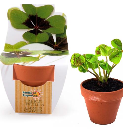 Acheter Mini kit 6 cm terre cuite Trèfle 4 feuilles - Nature et déc