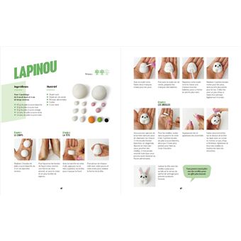 Manga cake , des gâteaux à modeler et pâtisser soi-même