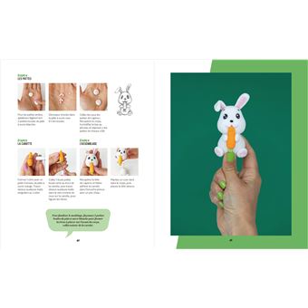 Manga cake , des gâteaux à modeler et pâtisser soi-même