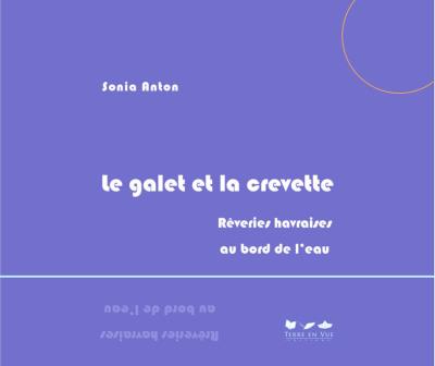 Le galet et la crevette