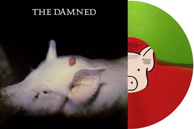 Strawberries Vinyle Rouge et Vert