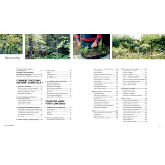 La Foret Jardin Creer Une Foret Comestible En Permaculture Broche Martin Crawford Rob Hopkins Charles Herve Gruyer Achat Livre Fnac