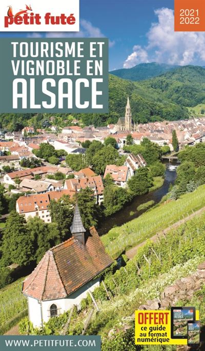 Guide Tourisme et Vignoble en Alsace 2020 Petit Futé - Dominique Auzias - broché