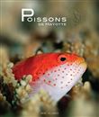 Poissons de mayotte