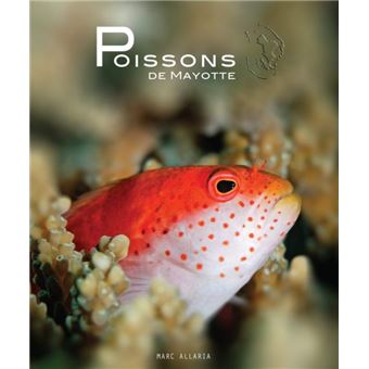 Poissons de mayotte