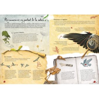 Scientifiques et inventeurs. Les machines de Léonard de Vinci. Le machines volantes - N.E. 2023