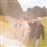 All Tied Together - Vinilo