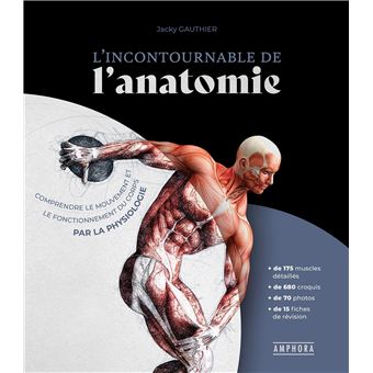 L'incontournable de l'anatomie