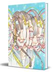 Shintaro Kago: Artbook Vol 02